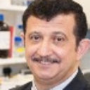 Mohamed El-Tanani