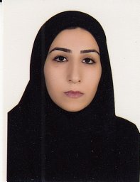 Marzieh Ghassemi