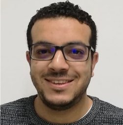 Ahmed M Rozza
