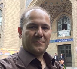 Seyed Amin Setarehdan