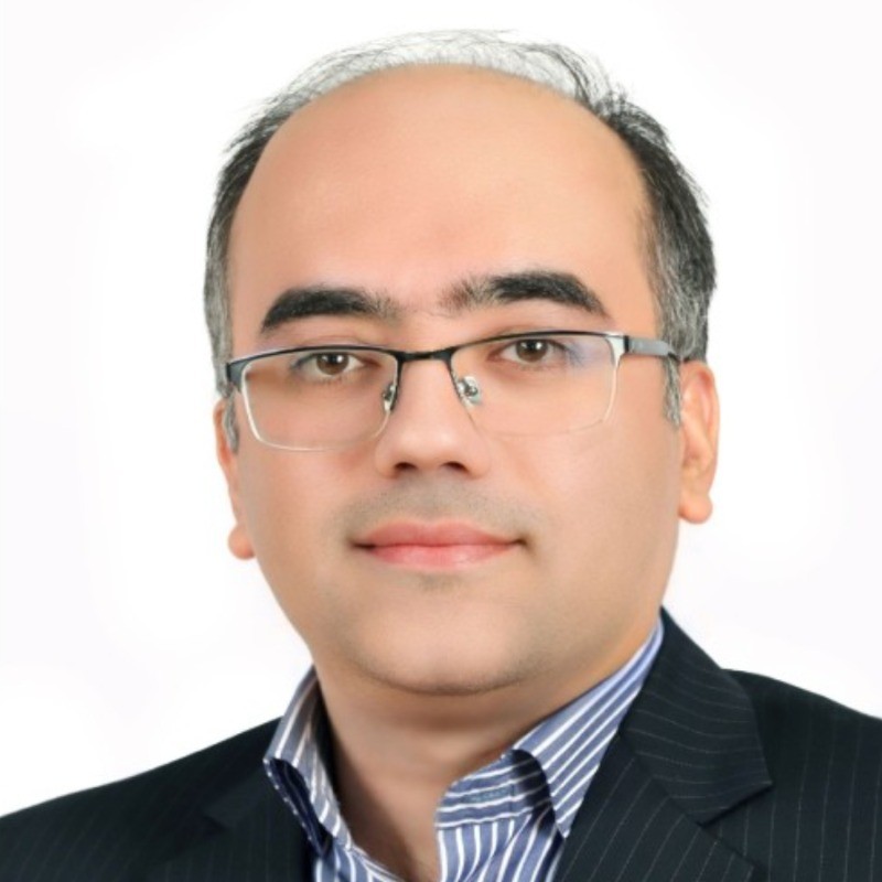 Hossein Roghani-Mamaqani