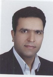 Hossein Chaji