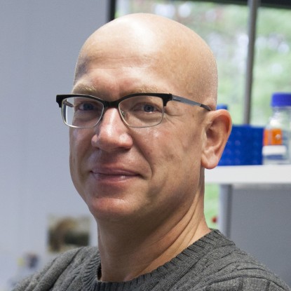 Markus Löbrich