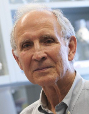 Peter Besmer