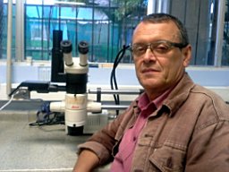 José A. Vargas-Zamora