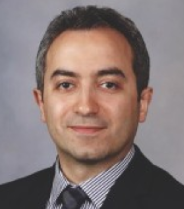 Samir N. Babayev