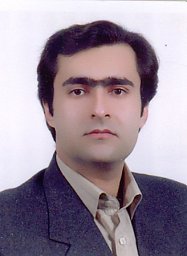 Farshad Amirkhizi