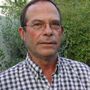 Yehuda Braverman