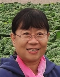Shufen Wang