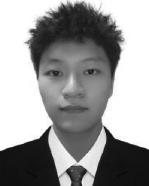 Haoran Wang