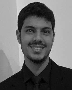 Vinícius Lagrota Rodrigues da Costa