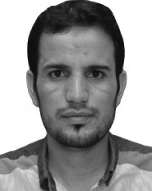 Abdulrahman Ahmed Ghaleb Amer