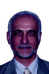 Alireza Najafizadeh