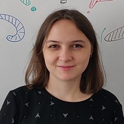 Anna A. Bogdanova