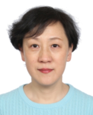 Limei Liu