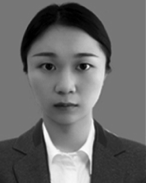 Jingyi Ma
