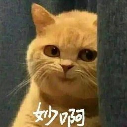 Mengcheng Dong