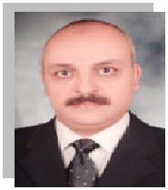 Hesham A. El-Kady