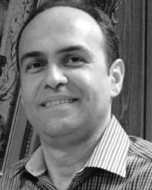 Amir H Hajimiragha
