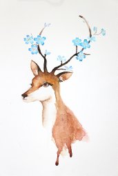 Mingming Chen
