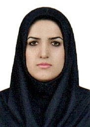 z rohi