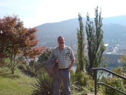 Sergey N. Rashkeev