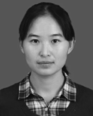 Yajuan Han