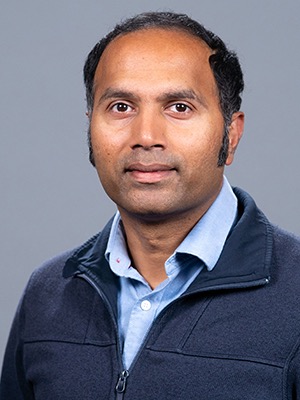Koushil Sreenath