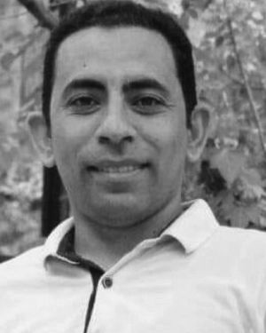 Ahmed T. El-Toukhy