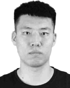 Haide Liu