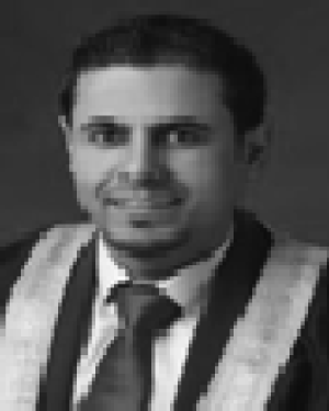 Adeeb Saaidah