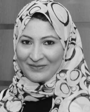 Dina M. Ellaithy