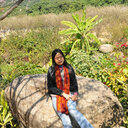 Qunfang Weng