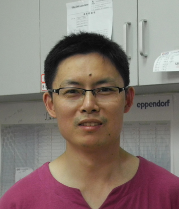 Quan Zhang