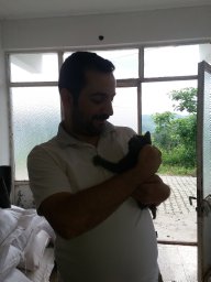 Ufuk Bulbul