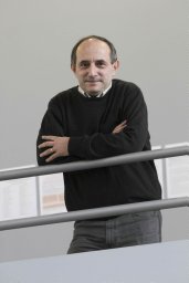 Daniel Luzzati