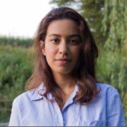 Mejd Alsari