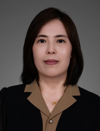 Zhujie Chu