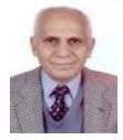 Yousry B.I. Shaheen