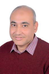 Ahmed Elhakeem