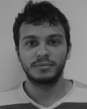 Stefan Mihaila