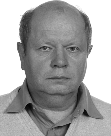 Vladimir I. Sizov
