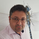 Manfred Beleut