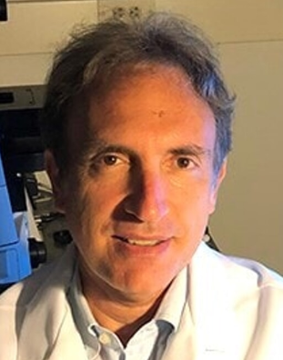 Fabio Anastasio Recchia