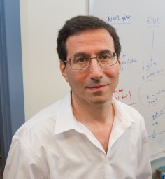 Colin Elman