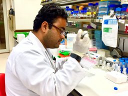 Mohammad Alfatah
