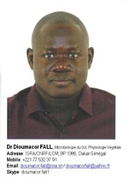 Dioumacor Fall