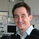 Bernard Faller