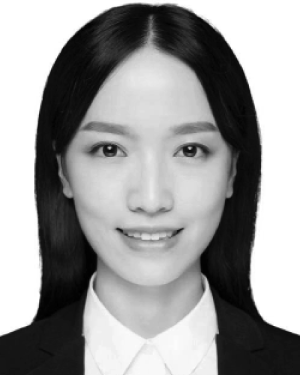 Yunwen Zhu