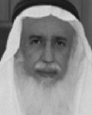 Mansour Alsulaiman